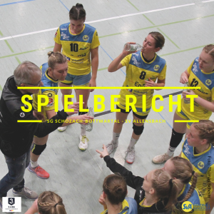 Spielbericht: SG Schozach-Bottwartal - SV Allensbach (Endstand: 27:23)